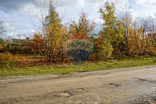 Sprzedaż-Działka-Wąska  -  Milanówek, Polska-810141002-684