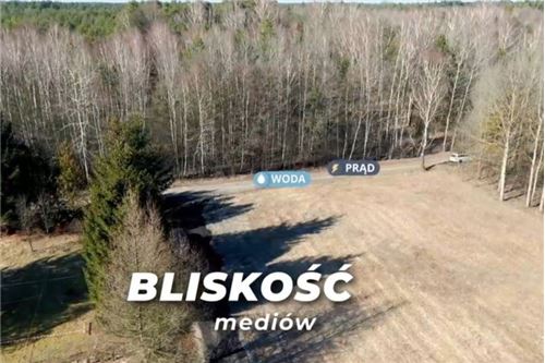 Sprzedaż-Działka-Bolimowska  -  Grabina Radziwiłłowska, Polska-810131032-92