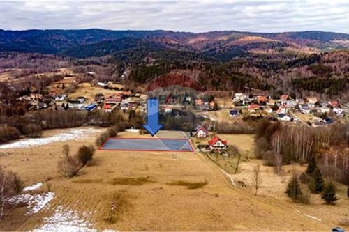 Sprzedaż-Działka budowlana-13 Bacówka  -  Las, Polska-800061103-197