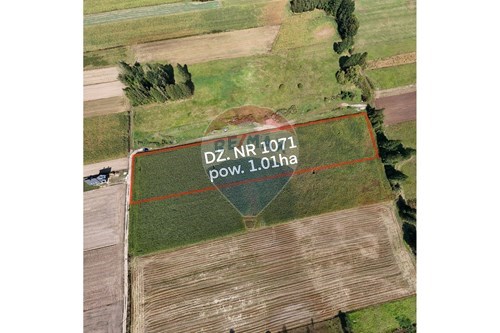 Sprzedaż-Działka-Polna  -  Rębków, Polska-810051045-5