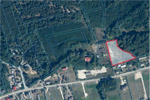 Sprzedaż-Działka-Zakościele  -  Zakościele, Polska-470291004-243