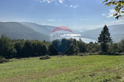 Sprzedaż-Działka budowlana-Leśna  -  Międzybrodzie Bialskie, Polska-800061103-200