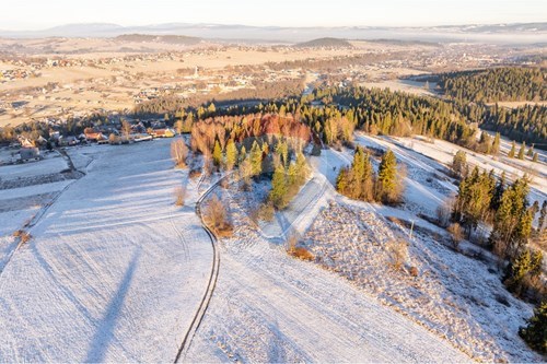 Sprzedaż-Działka-Szaflary  -  Szaflary, Polska-800091009-305