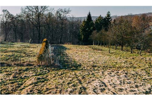 For Sale-Plot of Land for Hospitality Development-Prymasa Wyszyńskiego  -  Kwaczała, Poland-800241038-3