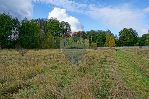 Sprzedaż-Działka budowlana-Modrzewiowa  -  Henryszew, Polska-810141002-681