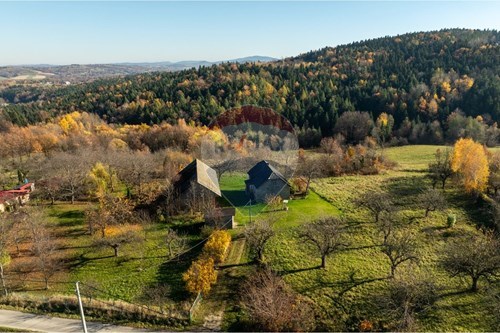 Sprzedaż-Dom wolnostojący-Krasne Lasocice 123  -  Krasne-Lasocice, Polska-800241017-143