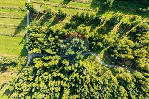 Sprzedaż-Nieruchomość gruntowa-Borowa  -  Czarny Dunajec, Polska-470151039-62