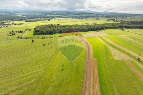 Sprzedaż-Działka-Polna  -  Ludźmierz, Polska-470151024-454