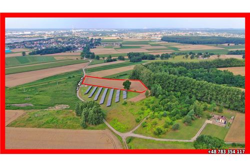 For Sale-Land-Blych  -  Ledziny, Poland-800041069-12