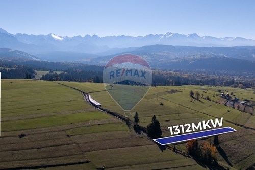 Sprzedaż-Działka-Rzepiska  -  Rzepiska, Polska-470151015-495