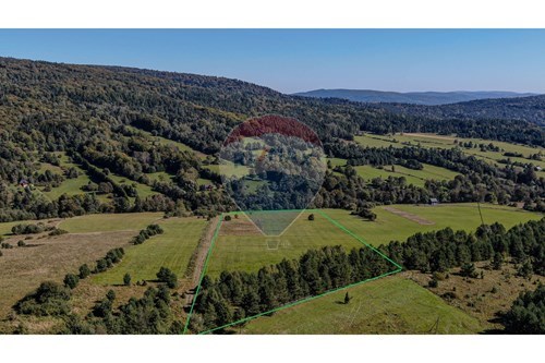 Sprzedaż-Działka-Wołowiec  -  Wołowiec, Polska-810291010-26