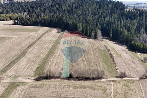 Sprzedaż-Działka-Wrony  -  Odrowąż, Polska-800091055-2