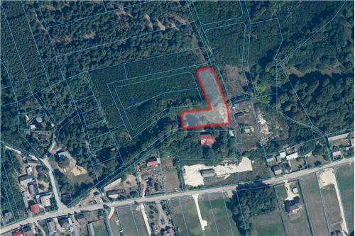 Sprzedaż-Działka-Zakościele  -  Zakościele, Polska-470291004-241