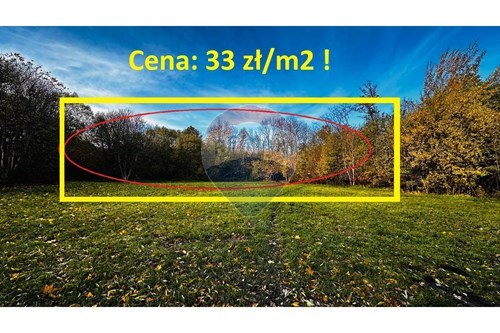 Sprzedaż-Działka-Zapłocie duże  -  Bielsko-Biała, Polska-800061109-41