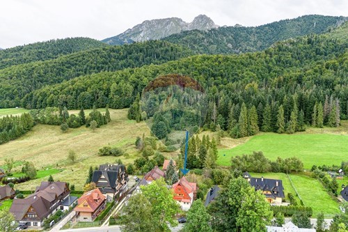 Sprzedaż-Dom wolnostojący-Krzeptówki  -  Zakopane, Polska-470131113-352