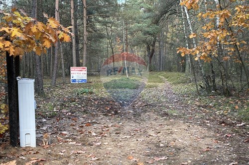 Sprzedaż-Działka-Dobre  -  Rynia, Polska-810131010-182