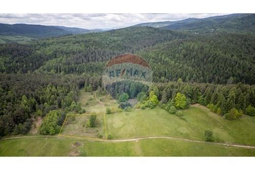 Sprzedaż-Działka-6692/1  -  Krzeszów, Polska-470131112-3