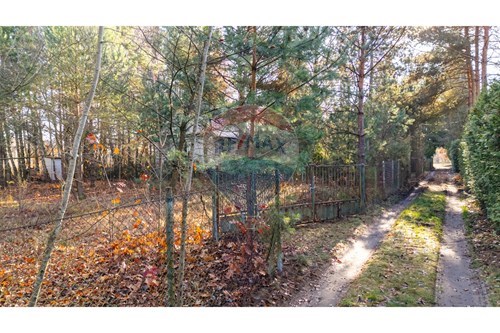 Sprzedaż-Działka budowlana-Stare Załubice  -  Stare Załubice, Polska-810131014-64