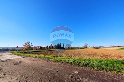 Sprzedaż-Nieruchomość inwestycyjna-Przemysłowa  -  Rudnik, Polska-470311007-9