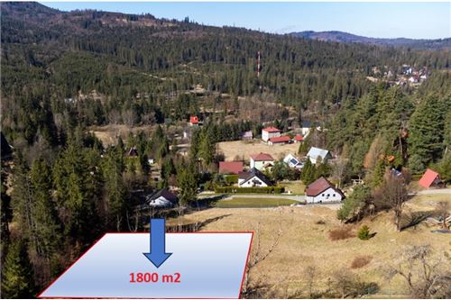 Sprzedaż-Działka budowlana-292  -  Sól-Kiczora, Polska-800061103-161