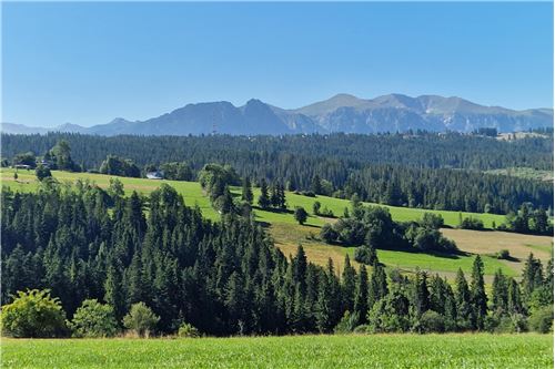 Sprzedaż-Nieruchomość gruntowa-Powiatowa  -  Ząb, Polska-470151039-61