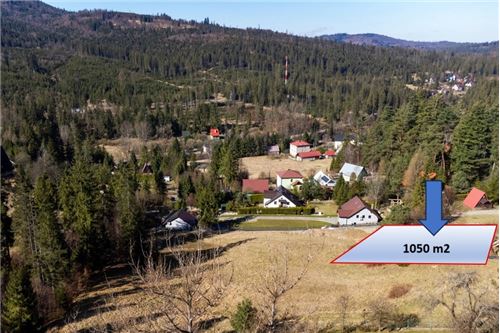 Sprzedaż-Działka budowlana-292  -  Sól-Kiczora, Polska-800061103-163