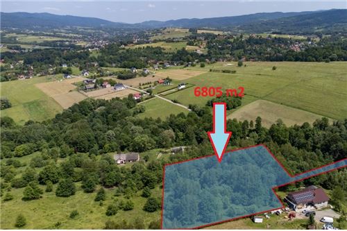 Sprzedaż-Działka budowlana-Holnówka  -  Rychwałd, Polska-800061103-169