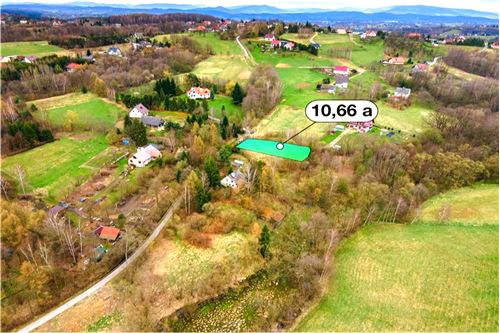 For Sale-Plot of Land for Hospitality Development-Raciborsko  -  Raciborsko, Poland-800241005-108