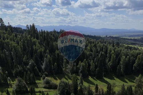 Sprzedaż-Nieruchomość gruntowa-Obidowa  -  Obidowa, Polska-800091058-5