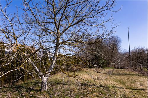 Sprzedaż-Działka budowlana-Łagiewnicka  - Bałuty  -  Łódź, Polska-470291004-247