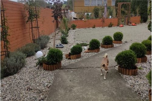 Dom wolnostojący - Sprzedaż - Grabie, Polska - 26 - 800241032-65