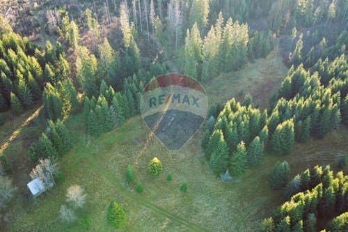 Sprzedaż-Działka-Dziedzicówka  -  Dzianisz, Polska-470151050-8