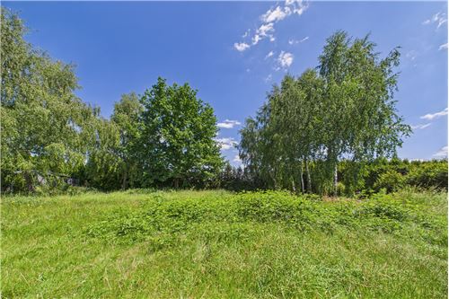 Sprzedaż-Działka budowlana-Rybnicka 210C  -  Żory, Polska-470311001-39