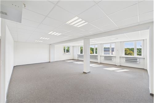 Wynajem-Biuro-Sygnały  - 62  - Gotartowice  -  Rybnik, Polska-470311001-45