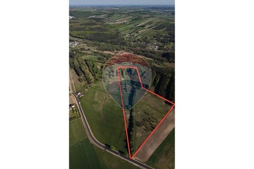 Sprzedaż-Działka budowlana-kaliś  -  Kaliś, Polska-800271021-11