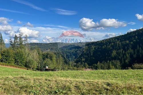 Sprzedaż-Działka-36 Osiedle Skolnity  -  Wisła, Polska-470131058-373