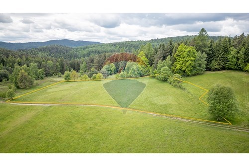 Sprzedaż-Działka-6698  -  Krzeszów, Polska-470131112-4