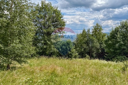 Sprzedaż-Nieruchomość gruntowa-Gorcowe  -  Ochotnica Dolna, Polska-800091057-4