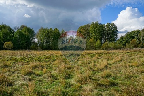 Sprzedaż-Działka budowlana-Modrzewiowa  -  Henryszew, Polska-810141002-682