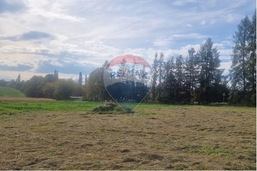 Sprzedaż-Działka-Katowicka  -  Pruchna, Polska-470131058-385