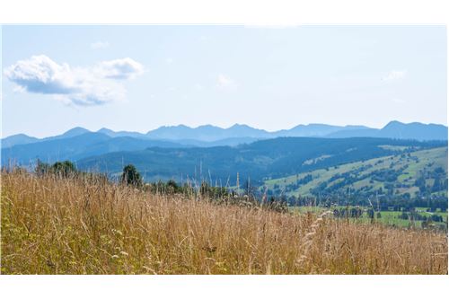 Sprzedaż-Nieruchomość gruntowa--  -  Dzianisz, Polska-800061116-23