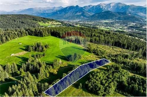 Sprzedaż-Działka-Składziska  -  Dzianisz, Polska-470151050-9