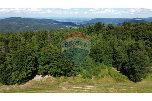 Sprzedaż-Działka--  -  Wilkowice, Polska-800061116-26