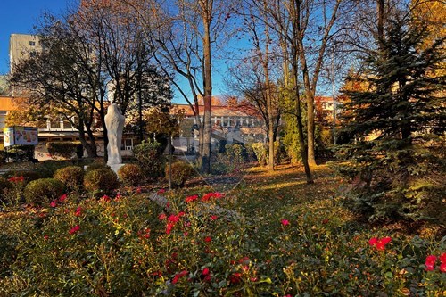 Slider Image Thumbnail