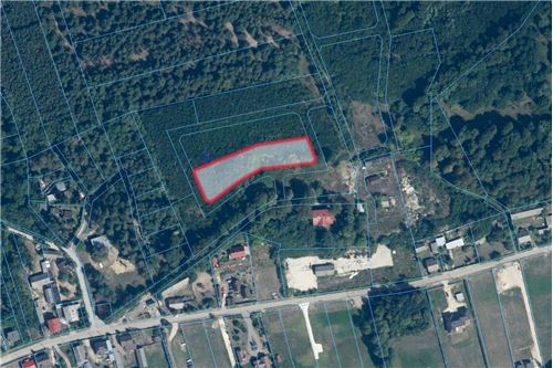 Sprzedaż-Nieruchomość gruntowa-Zakościele  -  Zakościele, Polska-470291004-233