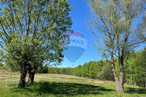 Sprzedaż-Działka-Graniczna  - mazowieckie, miński  -  Pustelnik, Polska-810051044-13
