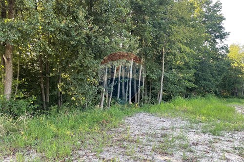 Sprzedaż-Działka budowlana-Pagórek  -  Krzeczów, Polska-800241049-2