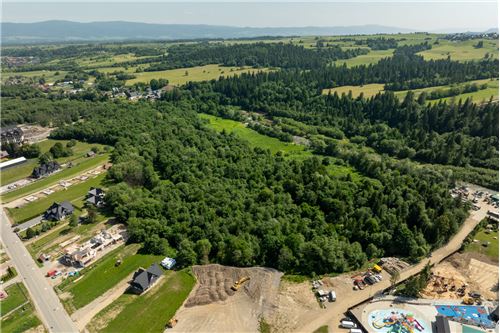 Sprzedaż-Działka-Osiedle Nowe  -  Szaflary, Polska-470151024-436