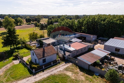 Sprzedaż-Nieruchomość gruntowa-Łódzka  -  Dalików, Polska-470291003-12