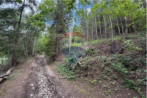 Sprzedaż-Nieruchomość gruntowa-Tchoń  -  Krościenko nad Dunajcem, Polska-800091057-5